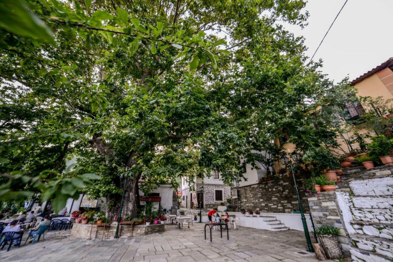 Filoxenia- Drakia Villa Dhrákia Exteriör bild